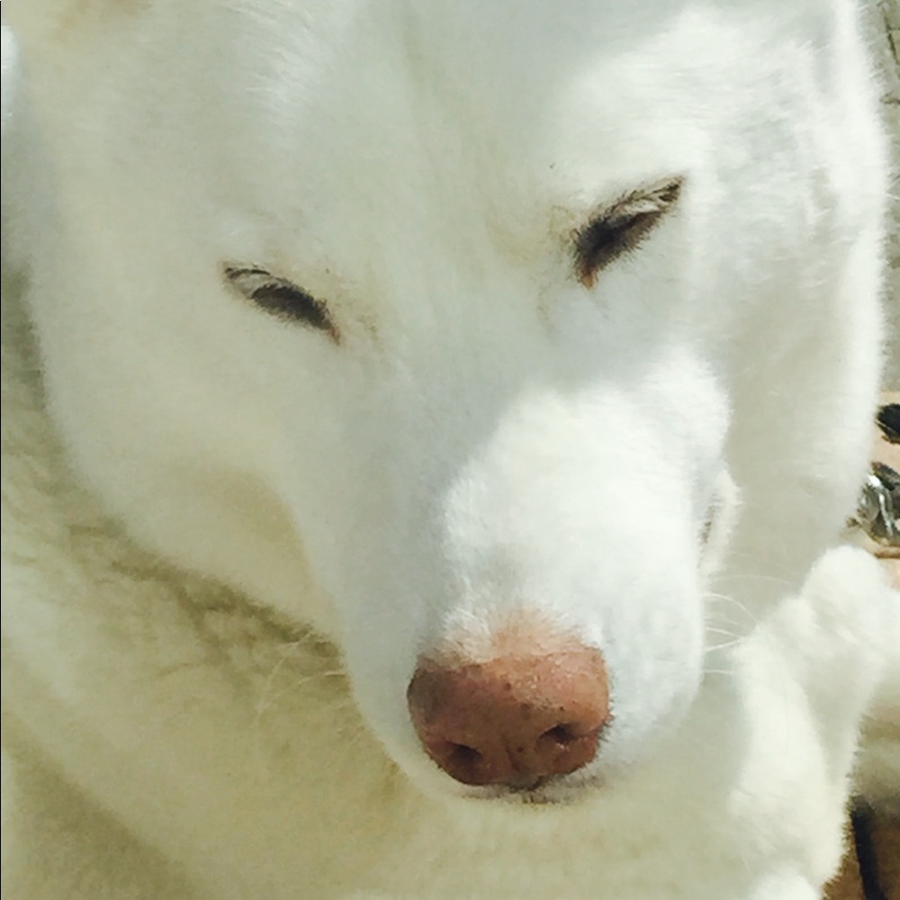 Meet your Posher, Karen